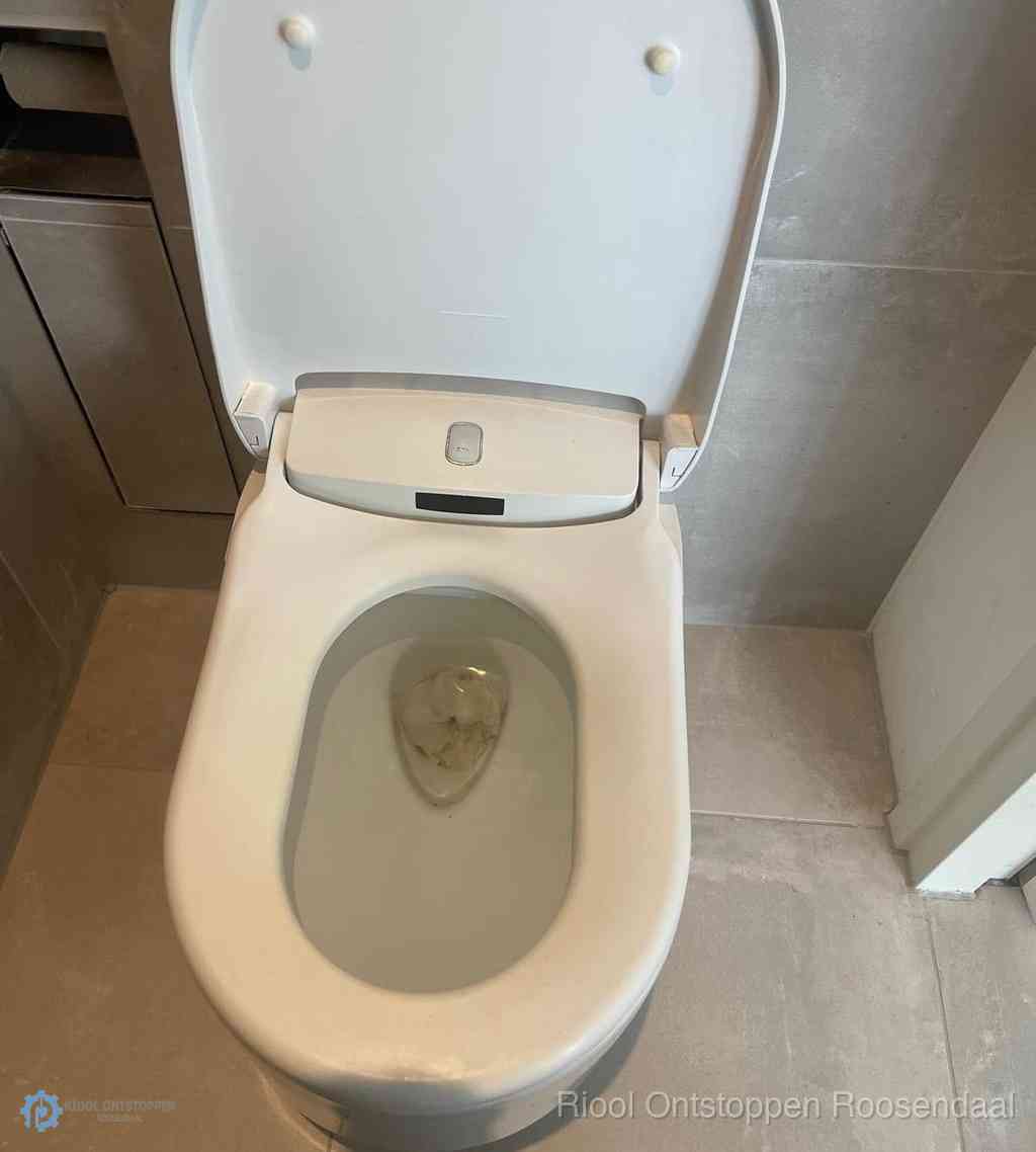 Toilet Ontstoppen Roosendaal